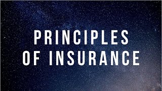 7 Principles of Insurance [upl. by Katzman]