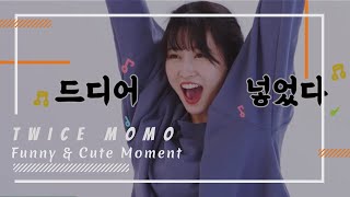 TWICE Momo  Funny amp Cute Moments [upl. by Ennovahc]