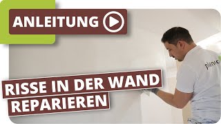 Risse in der Wand reparieren [upl. by Montford800]