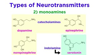 Neurotransmitters Type Structure and Function [upl. by Adnerak480]