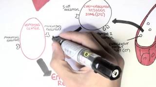 Physiology of Vomiting [upl. by Eelac460]