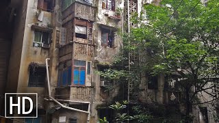 【HD】Walk in Chongqing China  Urban Jungle  Rustic Neighborhoods Along Tushan Road  中国重庆市南岸区涂山路走路 [upl. by Arita]