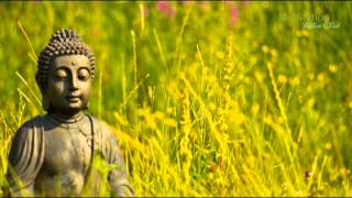 Zen Entspannungsmusik Wellness amp Regeneration Yoga Musik Tiefenentspannung amp Meditation [upl. by Mohn799]