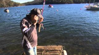 Bream fishing with prawn baits [upl. by Enialb]