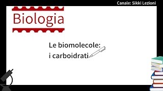 SCIENZE I carboidrati  Biomolecole  Chimica organica [upl. by Holna]