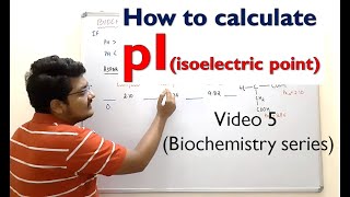 5 How to calculate pI from 3 pKa Values  Amino Acids  Biochemistry [upl. by Herve]