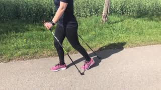 Grundtechnik des Nordic Walking [upl. by Edouard]