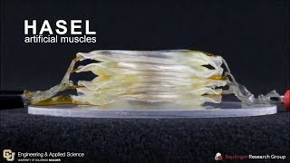 HASEL actuators with musclelike performance [upl. by Ruprecht551]