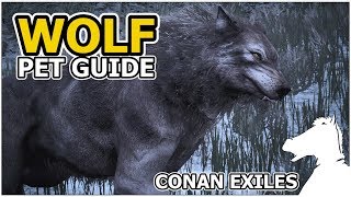 WOLF  Pets Guide  CONAN EXILES [upl. by Harlin]