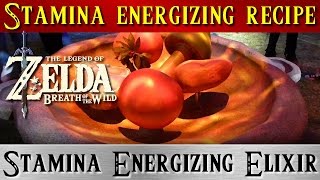 Zelda BOTW Stamina Energizing Elixir Recipe Bokoblin Horn Restless Cricket [upl. by Gwen]