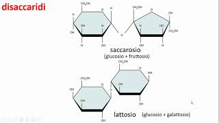 I carboidrati [upl. by Alane]