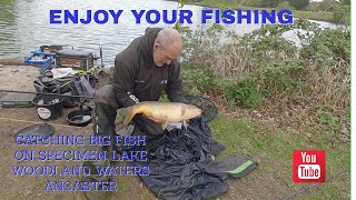 CATCHING BIG FISH ON SPECIMEN LAKE AT WOODLAND WATERS ANCASTER [upl. by Dustan]