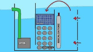 Come FUNZIONA un FILTRO Per ACQUARIO [upl. by Lanevuj]