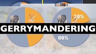 Gerrymandering Explained [upl. by Ecyor]