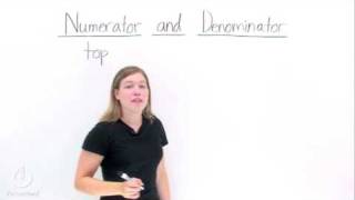 Whats a Numerator and Whats a Denominator [upl. by Elgna]