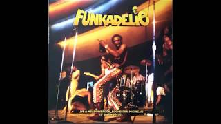 Funkadelic  Maggot Brain Live 1971 [upl. by Dahsraf]