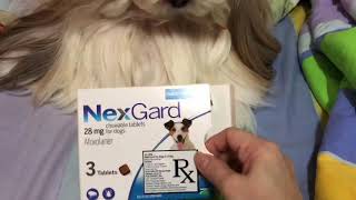 How to Give Nexgard to Your Dog [upl. by Nyllaf]