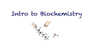 Introduction to Biochemistry [upl. by Melan131]