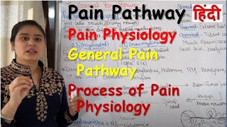 Pain Pathway in Hindi  Pain Physiology  General Pain Pathway  Process of Pain Physiology [upl. by Ruenhcs]