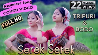 Assamese Dance Cover  Tripuri amp Bodo  Performance byHana amp Manorama FHD 2020 [upl. by Gredel]