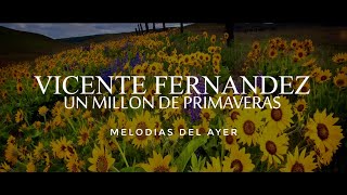 Vicente Fernández  Un Millón de Primaveras LETRA [upl. by Buddie]