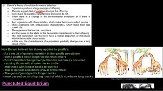 Grade 12 Life Sciences Evolution Part 2 [upl. by Asyar772]