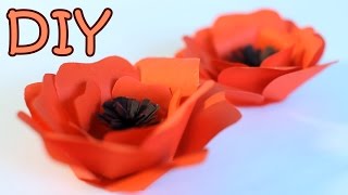 Easy Knit Poppy Pattern with Marly Bird  Beginner Tutorial [upl. by Naujak]