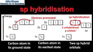 S2216 Hybridisation HL [upl. by Netsuj473]