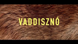 Soerii amp Poolek VADDISZNÓ Official Music Video [upl. by Pell]