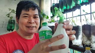 PAGGAWA NG NATURAL PESTICIDE with ENG sub [upl. by Helmer]