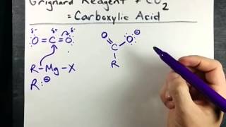 Grignard Reagent  CO2  Carboxylic Acid Mechanism [upl. by Zahc]