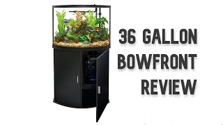 Top Fin 36g Bowfront Aquarium Review [upl. by Riess]