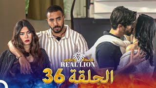 قسمة ونصيب Real Lion  الحلقة 36 [upl. by Chessy821]