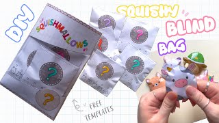 DIY Paper Squishmallows Mystery Blind Bag FREE TEMPLATE [upl. by Solram]