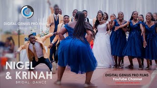 Nigel amp Krinah Bridal Entrance AFRICAN WEDDING DANCE [upl. by Guria]