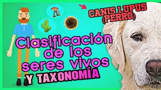 TAXONOMÍA Clasificación de los SERES VIVOS  Biología [upl. by Necyla]