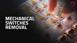 How to remove and replace mechanical switches on a Dygma Raise keyboard [upl. by Pazia179]