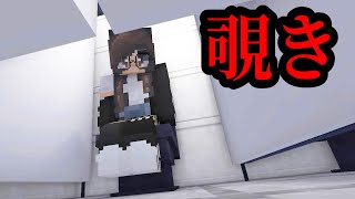 【マイクラ】意味が分かると怖い話「覗き」 [upl. by Aranaj]