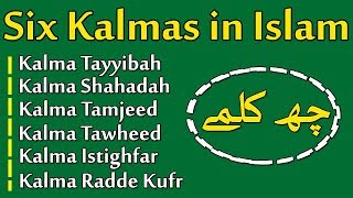 Six Kalimas In Islam  6 Kalmas For Kids  Kids Learning Islam Islamic kalemas [upl. by Toole]