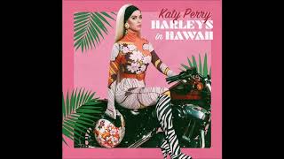 Katy Perry  Harleys in Hawaii  Male version  Lyrics [upl. by Eveivenej]