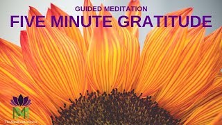 5 Minute Guided Meditation for Gratitude  Mindful Movement [upl. by Eeslek]