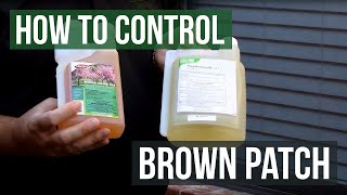 How to Control Brown Patch Fungus with Honor Guard PPZ Fungicide Propiconazole [upl. by Nonac]