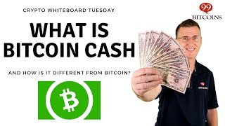 What is Bitcoin Cash  A Beginner’s Guide [upl. by Aisayt]