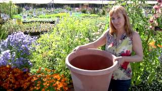 Container Gardening 101 [upl. by Arvind]