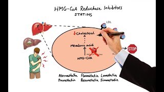 ETG Urine and Hair Alcohol Testing Overview [upl. by Essy]