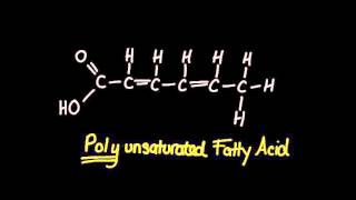 23 Saturated Monounsaturated and Polyunsaturated Fatty Acids [upl. by Glaab]