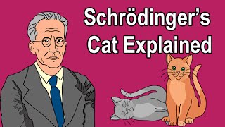 SCHRÖDINGERS CAT EXPLAINED [upl. by Oidualc900]