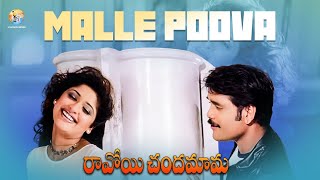 Malle Puvva Full Video Song  Ravoyi Chandamama Movie  Nagarjuna  Mani Sharma  Vyjayanthi Movies [upl. by Hertha]