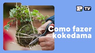 Como fazer um kokedama [upl. by Ellenahs]