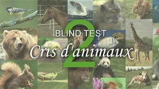 BLIND TEST  Cris danimaux n°2 [upl. by Adneram]